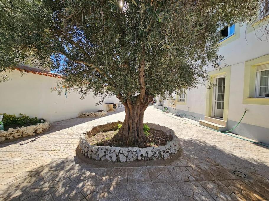Villa La Casa Del Arbol à Fuentiduena de Tajo Extérieur photo